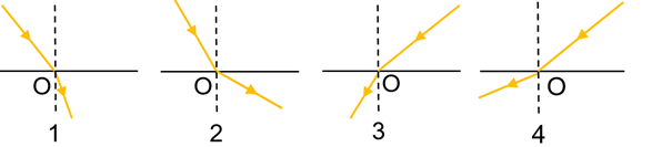 0300005y-72b7-587x133.png