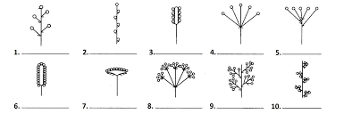 030002wz-8832-671x218.png