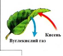 030003eb-1711-220x197.jpg