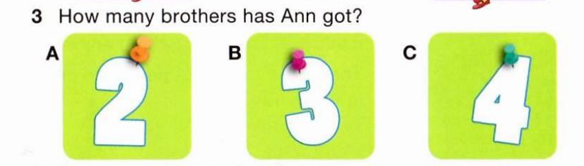03000446-6d6e-851x242.png