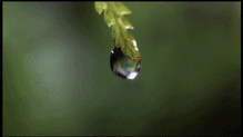 030004de-6aa3-219x123.gif