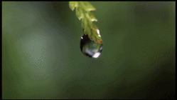 030004de-6aa3-249x140.gif