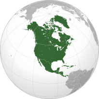 030006a5-429c-800x800.png