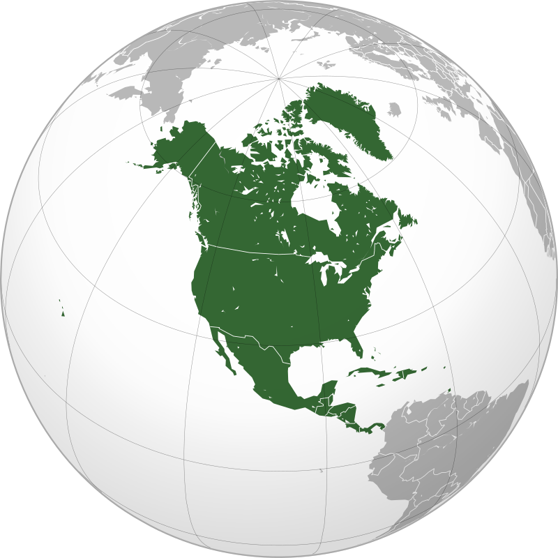 030006a5-429c-800x800.png