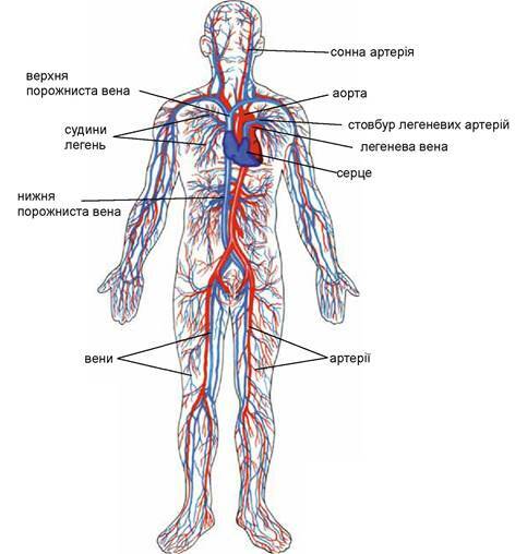 030006tg-25c0-483x508.jpg