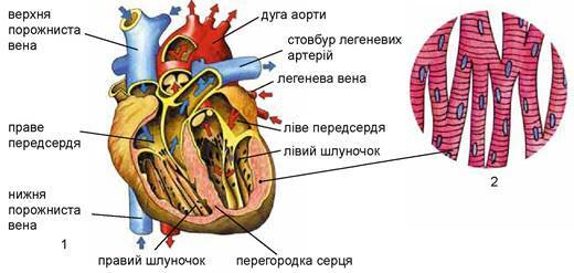 030006vt-3fd0-520x247.jpg