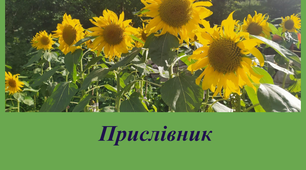 Прислівник