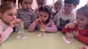 « Це моя улюблена земля»