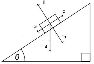 03000cmy-d2b6-302x207.jpg
