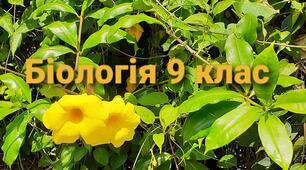Явище зчепленого успадкування
