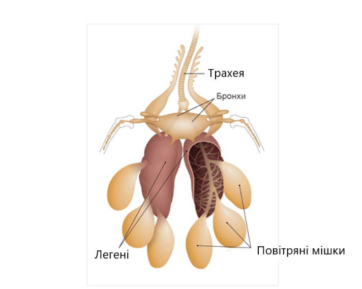 03000e5t-2488-712x569.png