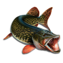 03000ec8-d0e6-128x128.png