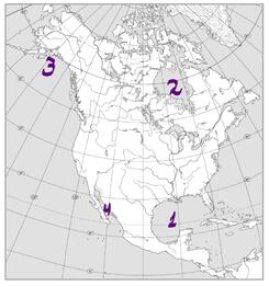 03000gfh-d586-245x261.jpg