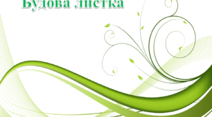 Будова листка.
