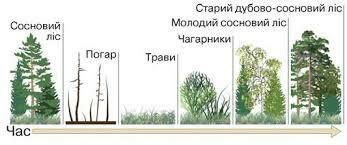 03000h5f-4d08-347x145.jpg