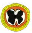 03000hnu-9d7d-106x109.png