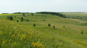 Зона лісостепу