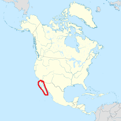 03000lhd-af71-398x399.png