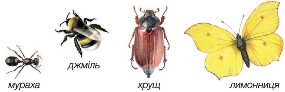 03000u3y-8836-940x306.png