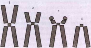 03000v8m-936e-378x199.jpg