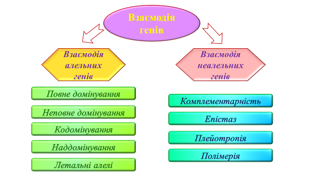 03000wbm-d338-640x360.png