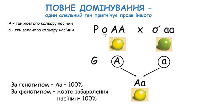 03000wbu-b58f-640x360.png