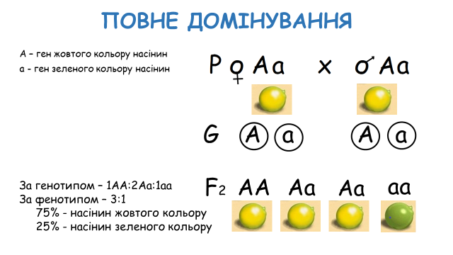 03000wcc-9c86-640x360.png
