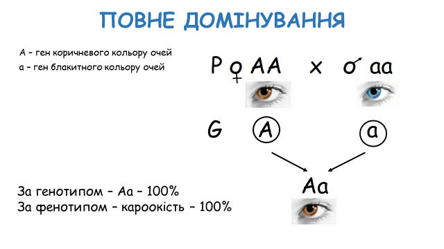 03000wcn-83ac-640x360.png