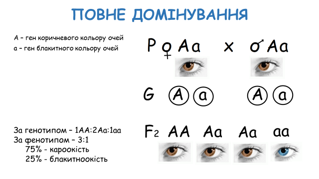 03000wcs-0940-640x360.png