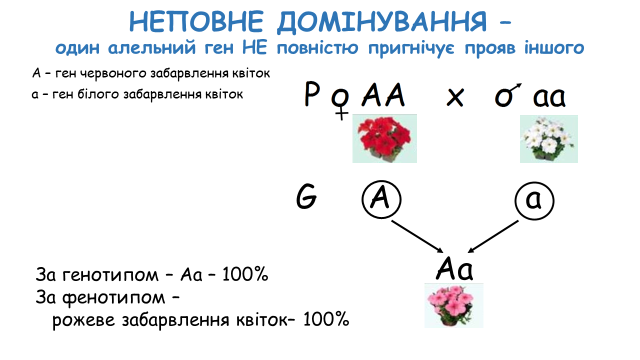 03000wd3-7ca2-640x360.png