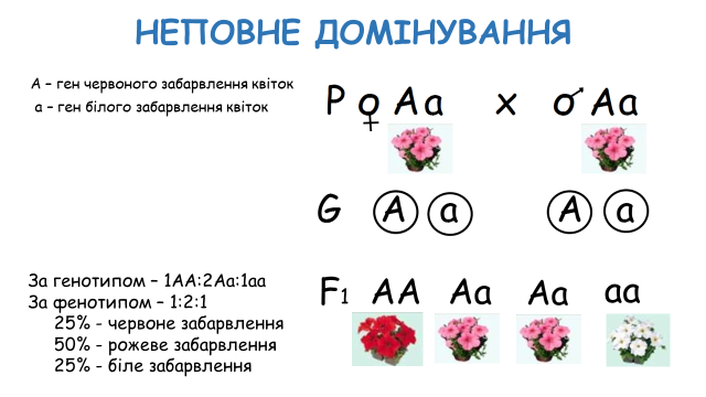 03000wd9-a89b-640x360.png