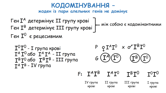 03000wdd-b4de-640x360.png