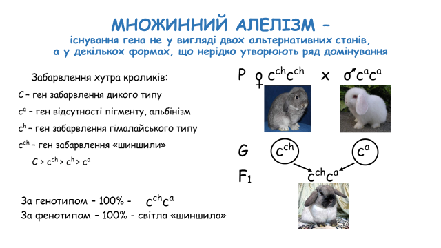 03000wdg-7781-640x360.png