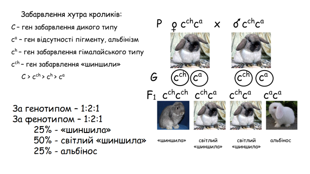 03000wdn-c273-640x360.png