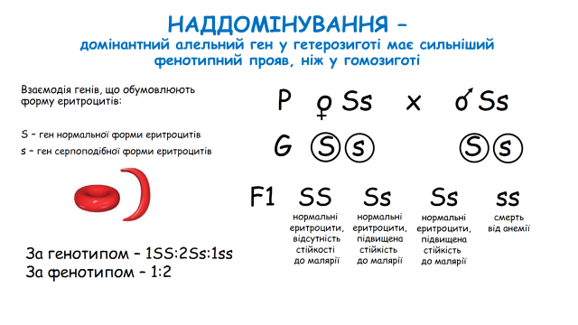 03000wds-c3c8-640x360.png