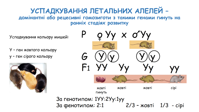 03000wdz-8318-640x360.png