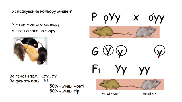 03000wed-5c9b-640x360.png