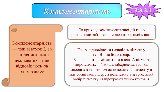 03000wel-1a21-640x360.png