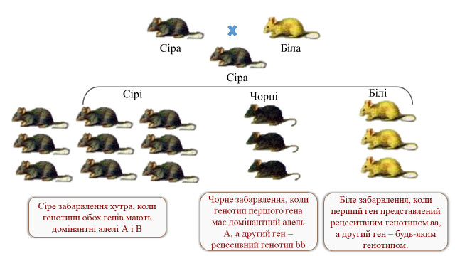 03000wes-7a6f-640x360.png