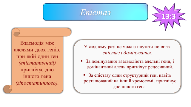 03000wey-b686-640x360.png