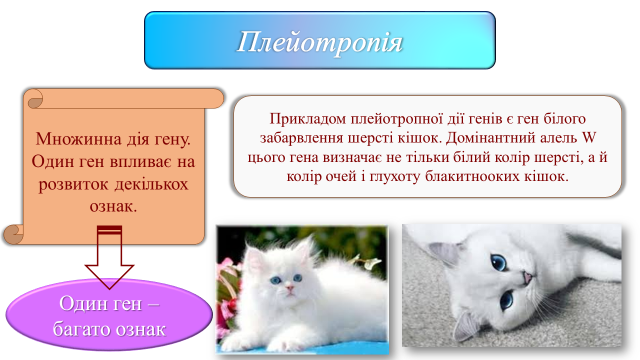 03000wfb-db68-640x360.png
