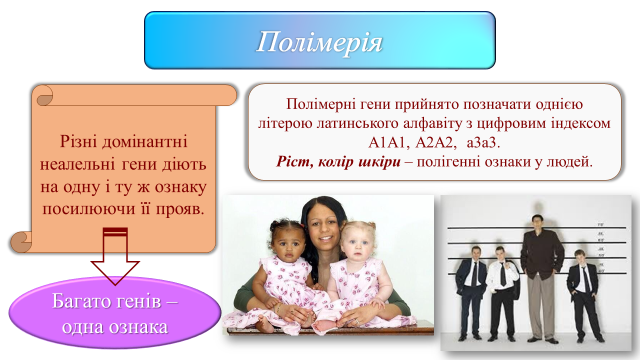 03000wfz-e722-640x360.png
