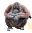 03000wg7-c80a-128x132.png