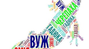 Земноводні і плазуни.
