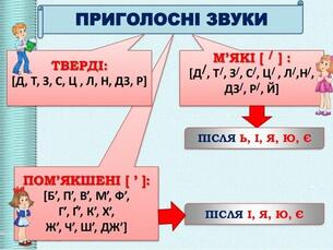 03000xbs-8a17-305x229.jpg
