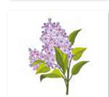 030010bb-aa27-157x140.png