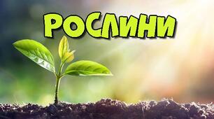 Діагностувальна робота "Рослини"
