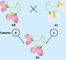 030010kr-aeab-227x207.jpg