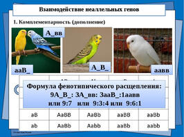 030010mz-5294-266x199.jpg