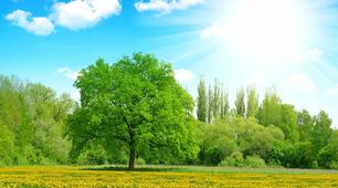 Nature and Weather